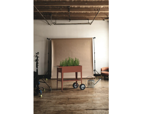 Pflanzkasten auf Rollen mit Kräutern und Gießkanne im Studio