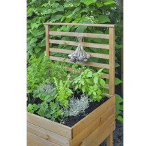 Hochbeet aus Holz mit Pflanzen und Rankgitter