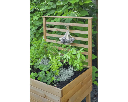 Hochbeet aus Holz mit Pflanzen und Rankgitter