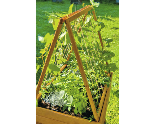 Hochbeet mit Rankhilfe und Bepflanzung im Garten