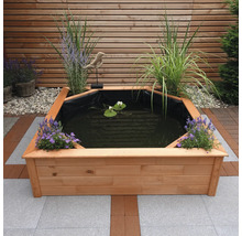 Holzteich mit Pflanzen und Seerosen im Garten