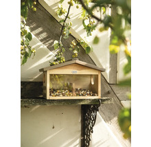 Vogelhaus mit Futter auf einer Konsole