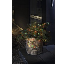 Dekorativer Weihnachtsbaum mit Lichtern in einem Drahtkorb vor einem Haus.