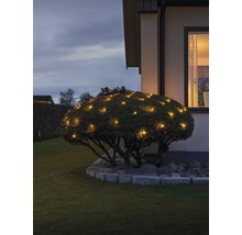 Garten mit beleuchtetem Strauch und Haus im Hintergrund