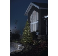 Beleuchteter Weihnachtsbaum vor einem Wohnhaus im Garten.