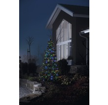 Weihnachtsbaum mit mehrfarbiger Beleuchtung vor Hausfassade