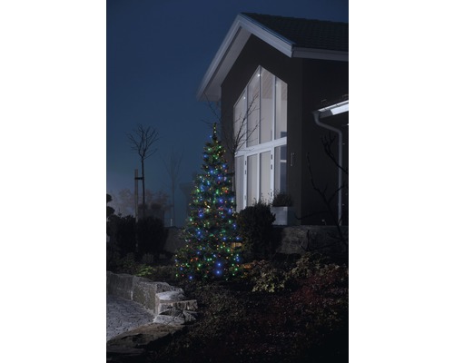 Weihnachtsbaum mit mehrfarbiger Beleuchtung vor Hausfassade