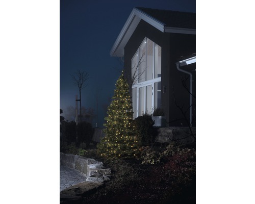 Beleuchteter Weihnachtsbaum im Garten vor dem Haus