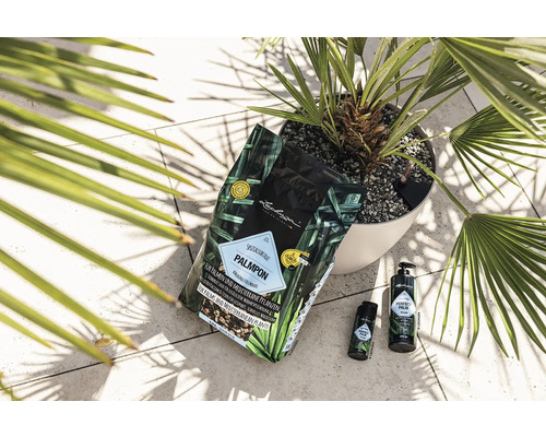 Spezialsubstrat, Dünger und Pflegemittel für Palmen und mediterrane Pflanzen mit Palme im Topf