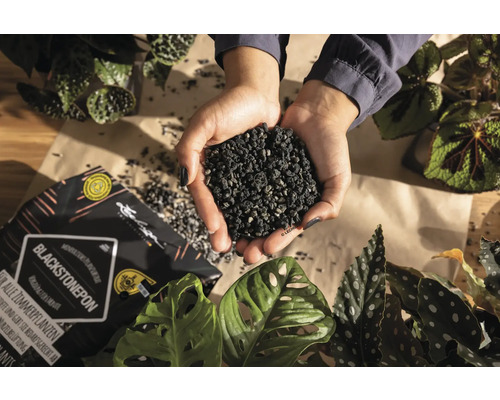 Blackstonepon Zimmerpflanzensubstrat in den Händen, mit Verpackung und Pflanzen