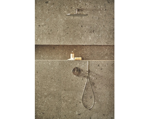Badezimmer mit Kopfbrause, Handbrause, Duscharmatur, Ablage und Pflegeprodukten vor einer gefliesten Wand