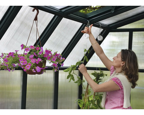 Frau befestigt eine Pflanze in einem Gewächshaus. Im Hintergrund hängt ein Topf mit Blumen.
