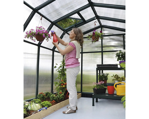 Frau bewässert Pflanzen in einem Gewächshaus mit Regalen und hängenden Blumenampeln.