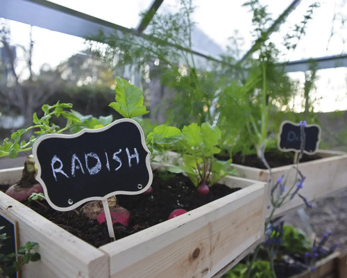 Hochbeet mit Radieschen und Kräutern mit Namensschild