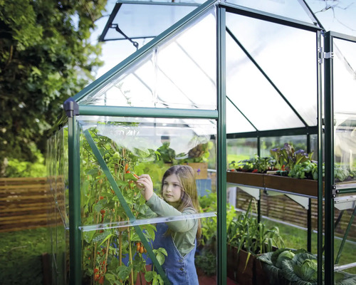 Gewächshaus mit Pflanzen und einem Mädchen bei der Ernte