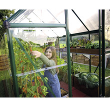 Ein Mädchen erntet Tomaten in einem Gewächshaus mit verschiedenen Gemüsesorten.
