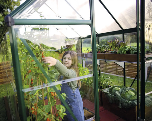 Ein Mädchen erntet Tomaten in einem Gewächshaus mit verschiedenen Gemüsesorten.