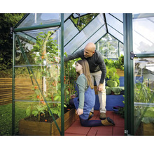 Vater und Tochter im Gewächshaus beim Betrachten von Tomatenpflanzen.