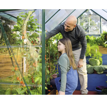 Vater und Tochter betrachten Tomatenpflanzen in einem Gewächshaus.