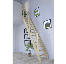 Holztreppe im Raum mit Bildern an der Wand und einer Pflanze im Topf.