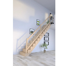 Holztreppe in einem hellen Raum mit Bildern an der Wand und einer Zimmerpflanze.