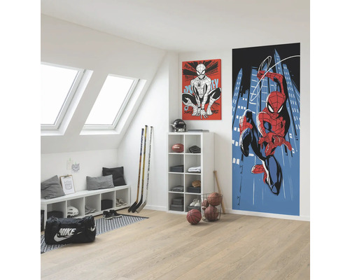 Helles Zimmer mit Dachfenstern, ausgestattet mit einer Kommode, Sportartikeln und Spiderman-Wandbildern.
