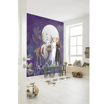 Fototapete Vlies IADX4-092 Into Wonderland Frozen Full 4-tlg. 200 x 250 cm