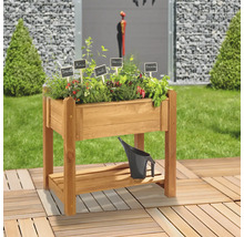 Hochbeet aus Holz mit Kräutern und Gemüse auf Terrasse