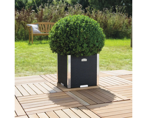 Gartenansicht mit Kübelpflanze in einem schwarzen, geflochtenen Pflanzgefäß mit Edelstahldetails auf Holzfliesen