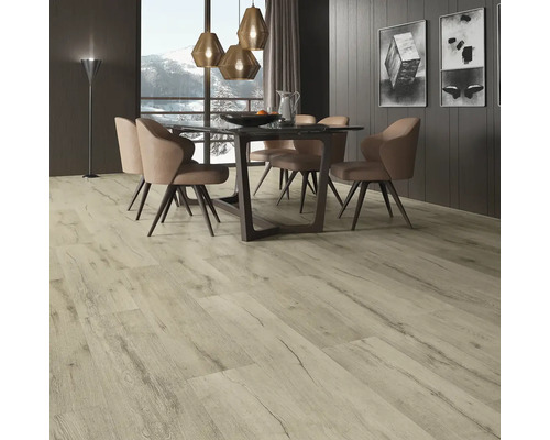 Ein Esszimmer mit Holzboden, Esstisch und Stühlen.