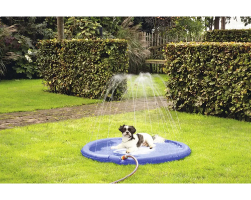 Ein Hund liegt in einem blauen Planschbecken mit Wasserspritzern im Garten.