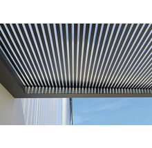 Gutta Vordach BS 3D-Line 160 RAL 7016 anthrazit 160x90 cm