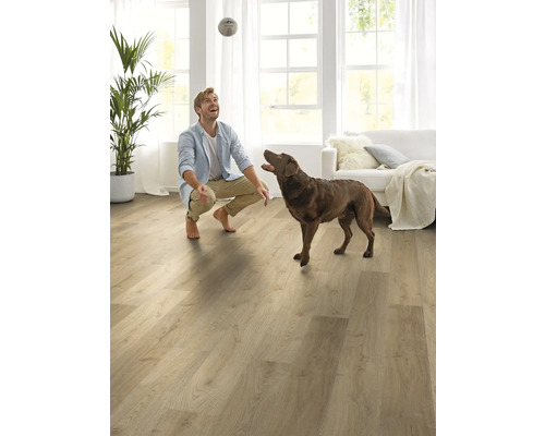 Helles Wohnzimmer mit Laminatboden, Mann und Hund spielen mit einem Ball.