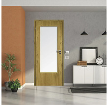 ZT Eiche Rustic Furnier Aufrecht 98,5x198,5 DIN Links MODERN 08 Glas Satiniert