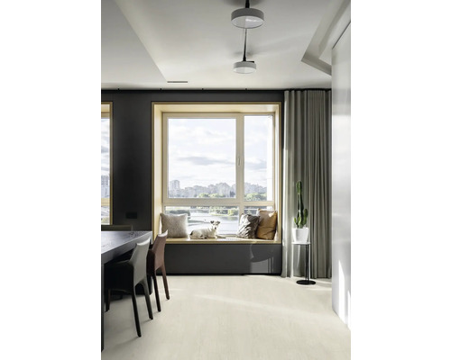 Helles Wohnzimmer mit Fensterbank, Kissen und Hund