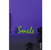 Dekoratives Schriftzugelement Smile auf einem Regal