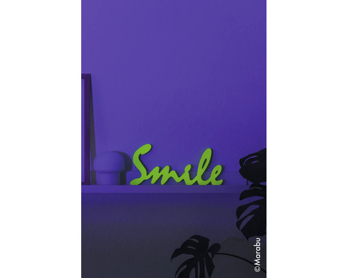 Dekoratives Schriftstück mit dem Wort Smile auf einem Regal