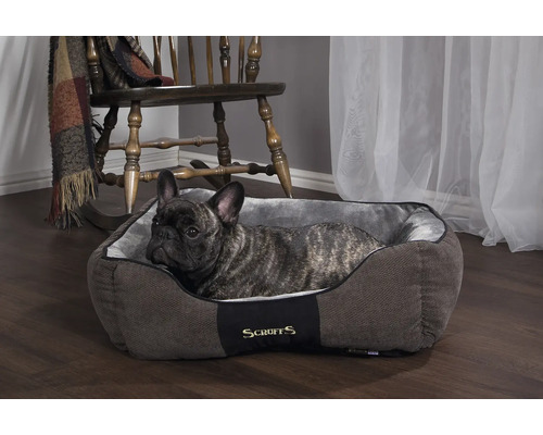 Hund liegt in einem grauen Scruffs Hundebett