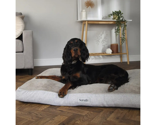 Ein Hund liegt auf einem Hundebett von Scruffs.