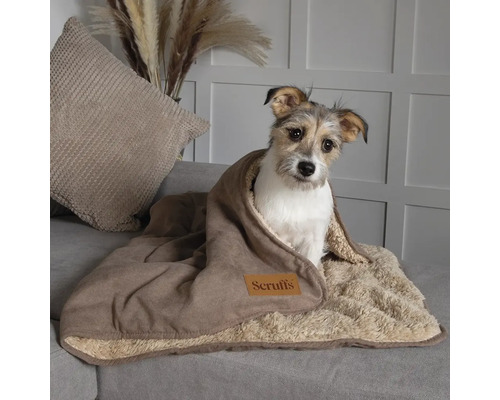 Hund sitzt eingewickelt in eine Scruffs Hundedecke auf einem Sofa