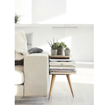 Blumentopf Ecopots Amsterdam Kunststoff Ø 12 cm 13 x 13 x 11,4 cm braun