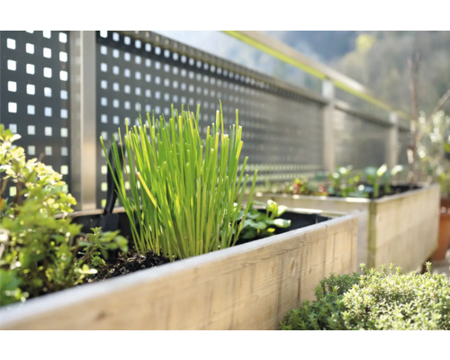 Hochbeet mit verschiedenen Kräutern und Pflanzen auf einer Terrasse