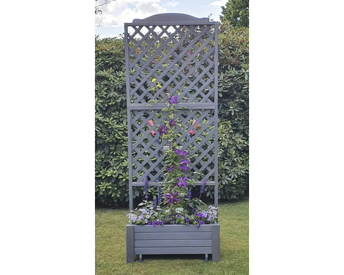 Blumenkasten mit Rankgitter im Garten
