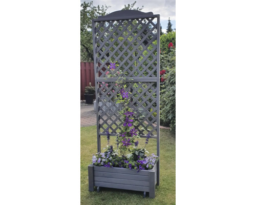 Blumenkasten mit Rankgitter im Garten