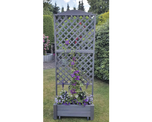 Blumenkasten mit Rankgitter im Garten