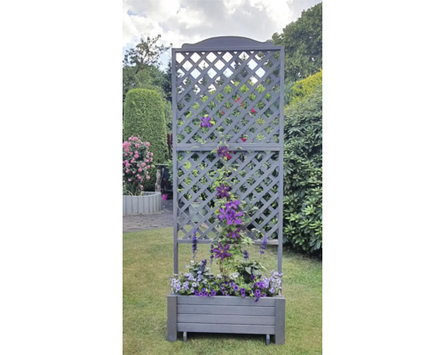 Blumenkasten mit Rankgitter im Garten