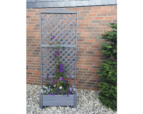 Blumenkasten mit Rankgitter vor einer Mauer mit Bepflanzung