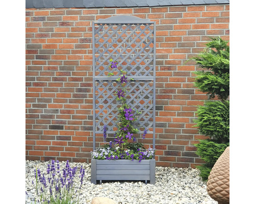 Graue Pflanzkasten mit Rankgitter vor einer Ziegelmauer, bepflanzt mit lila und weißen Blumen.