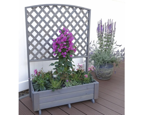 Blumenkasten mit Rankgitter und Bepflanzung auf einer Terrasse