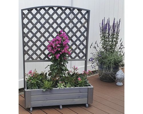 Holzpflanzkasten mit Rankgitter und verschiedenen Pflanzen